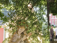 Leben mit und an der Grenze 1920–2020 Život s hranicemi a na pomezí 1920–2020