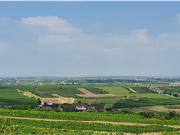 „Die Sudetendeutschen. Offene Wunden“ mit Niklas Perzi