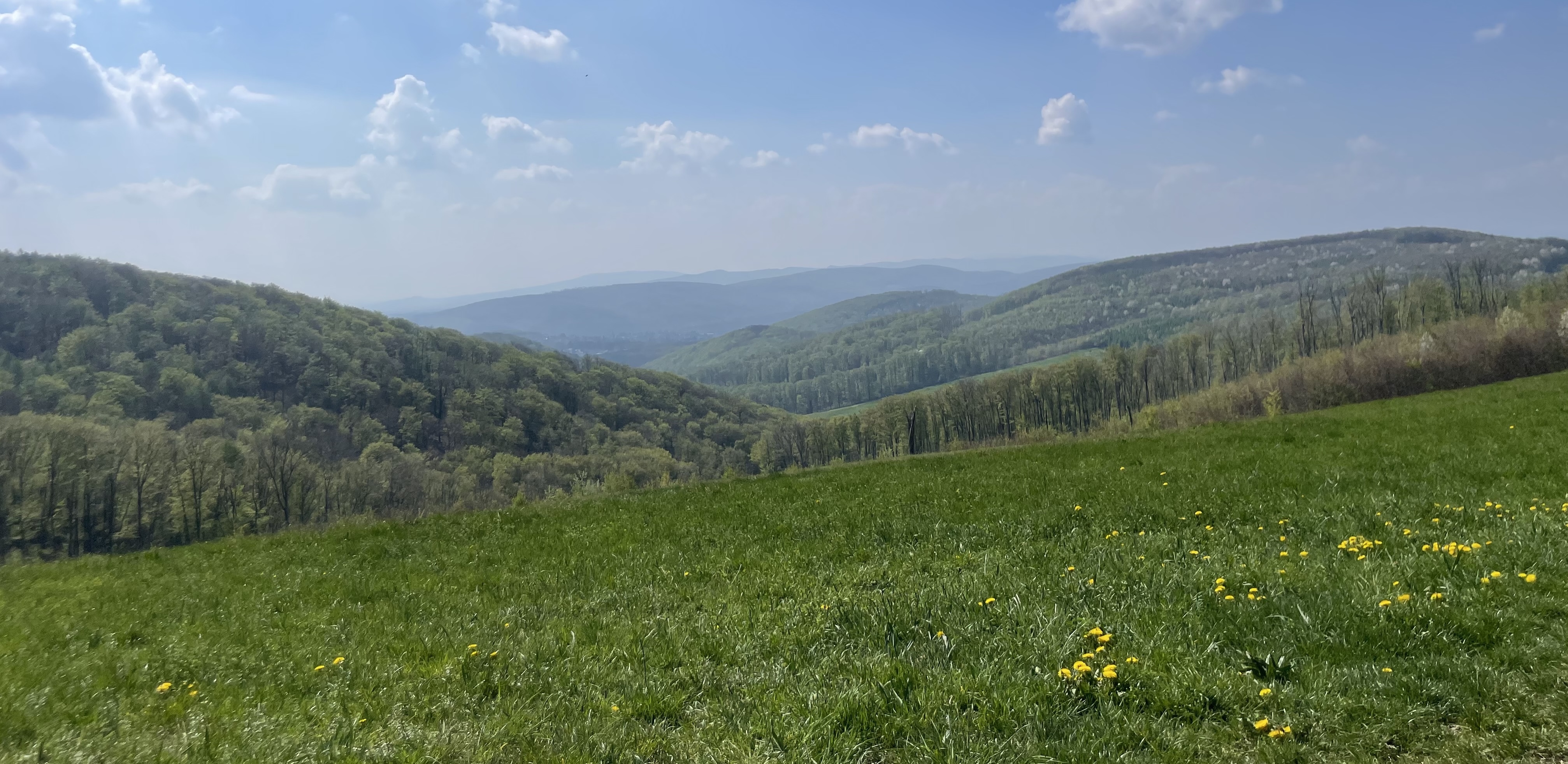 Landschaft NÖ.jpg