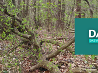 „Wo waren Sie als die Slowakei entstand…?“ mit Niklas Perzi