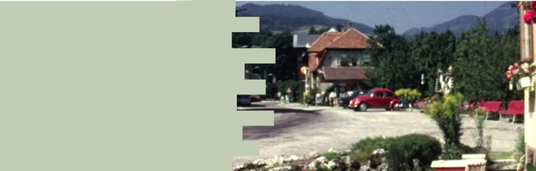 Parkplatz, Almweide, Einfamilienhaus, Supermarkt. Transformationsprozesse ländlicher Regionen im Spiegel der Amateurfilmsammlung „Niederösterreich privat“