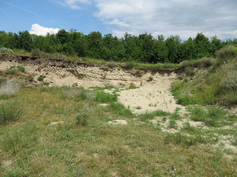 The Sand Land in the Marchfeld — Regional perspectives, globally linked