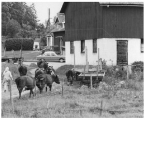 Agrarian and Rural History, Swedish University of Agricultural Sciences / Sweden